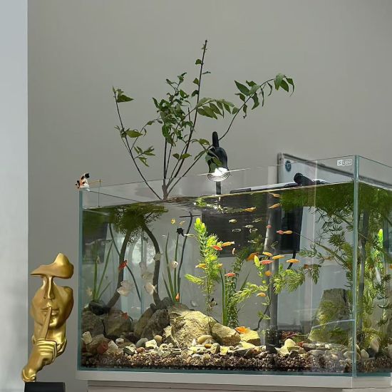 Picture of Custom Creative Fish Tank Landscaping Design - Aquatic Plant & Decoration Layout for Fish Habitats